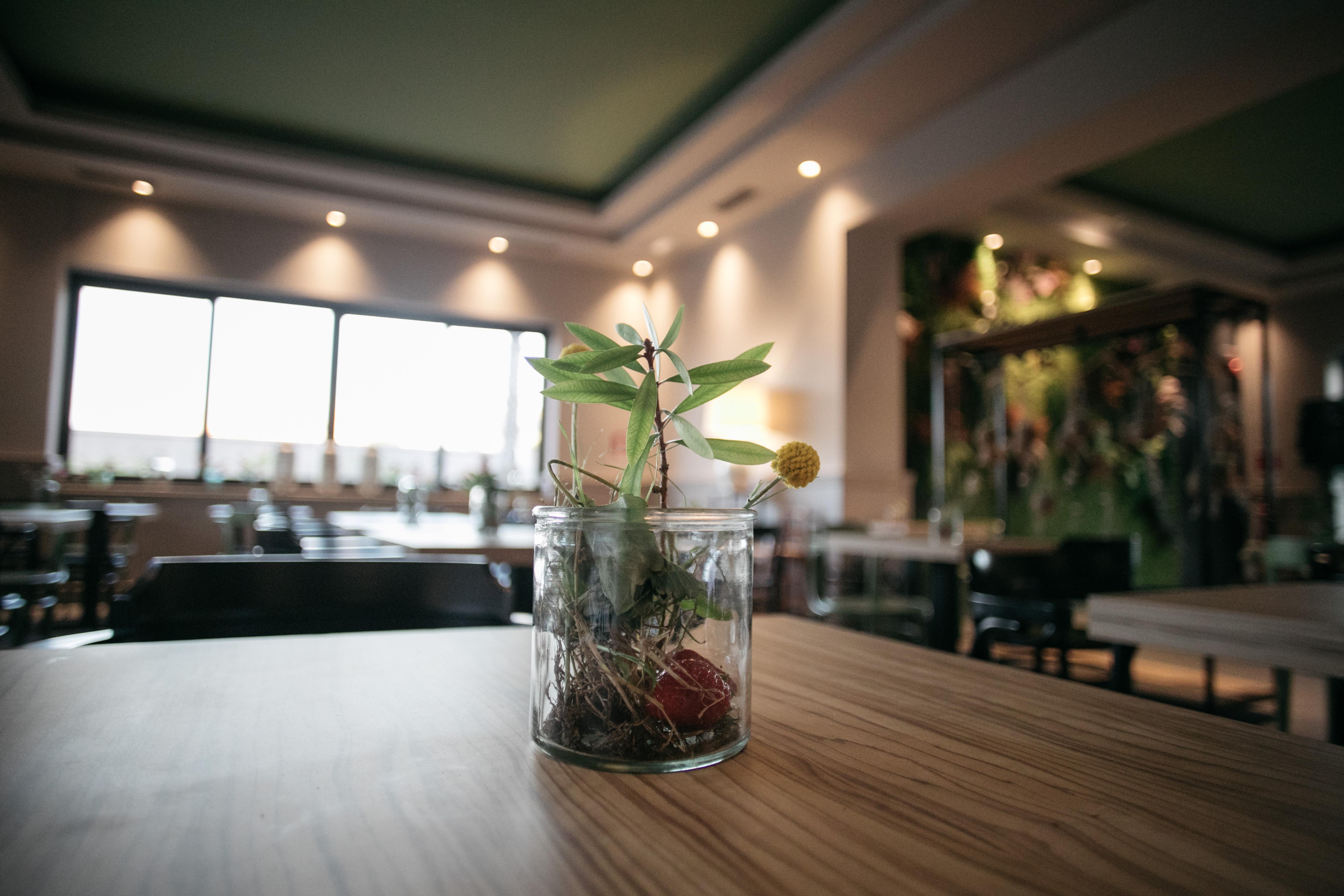 Hotel Aloisi 레체 외부 사진